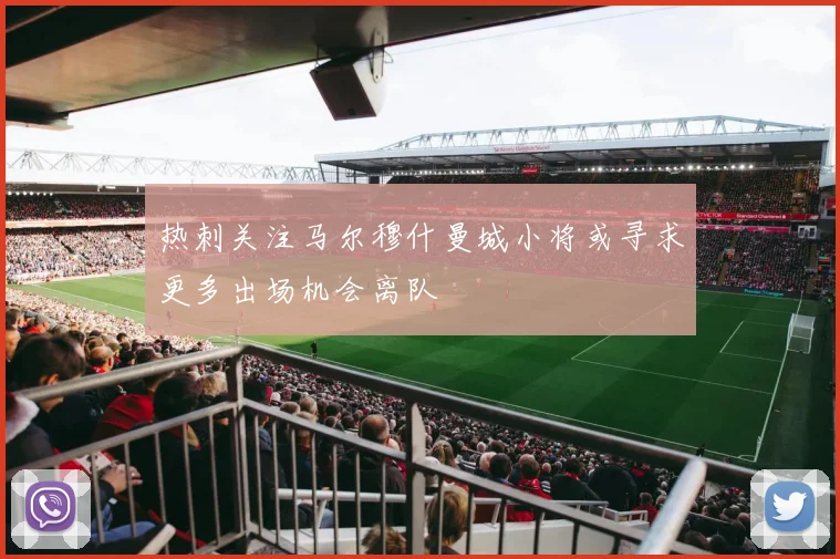 热刺关注马尔穆什曼城小将或寻求更多出场机会离队