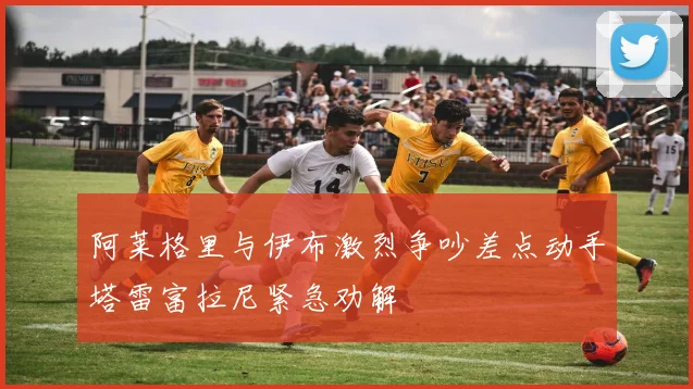 阿莱格里与伊布激烈争吵差点动手塔雷富拉尼紧急劝解