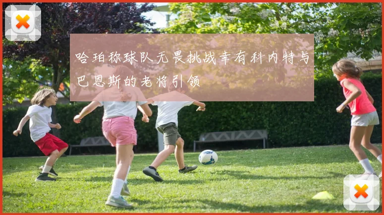 哈珀称球队无畏挑战幸有科内特与巴恩斯的老将引领